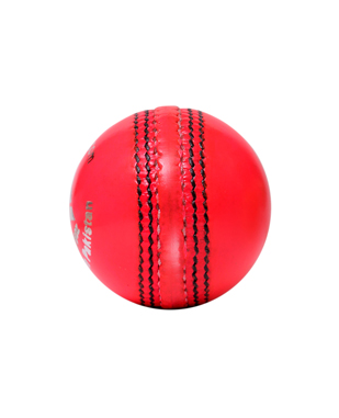 Cricket Hard Ball Junior