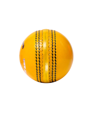Cricket Hard Ball Junior